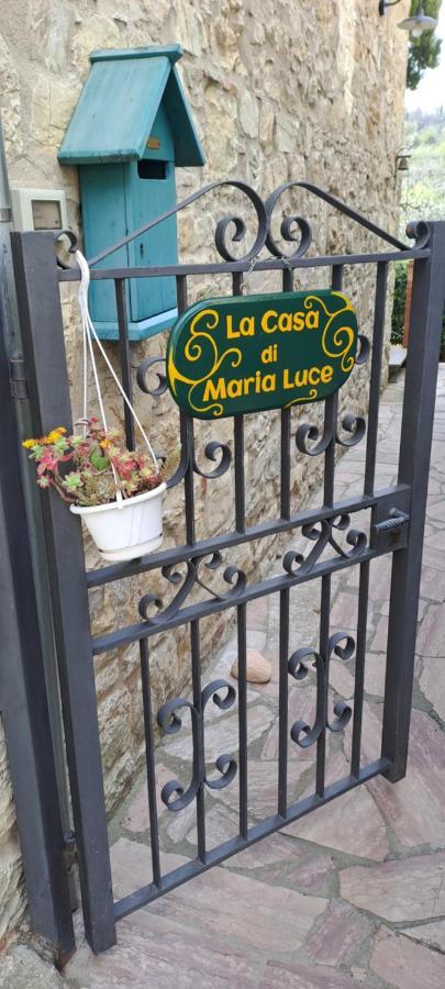 ガイオーレ・イン・キアンティ"La Casa Di Maria Luce" Con Terrazza Panoramicaアパートメント エクステリア 写真